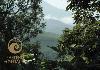 Misty view on tea gardens
